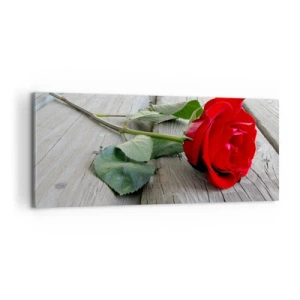 Bild auf Leinwand - Leinwandbild - Eine Studie in Scharlachrot - 100x40 cm