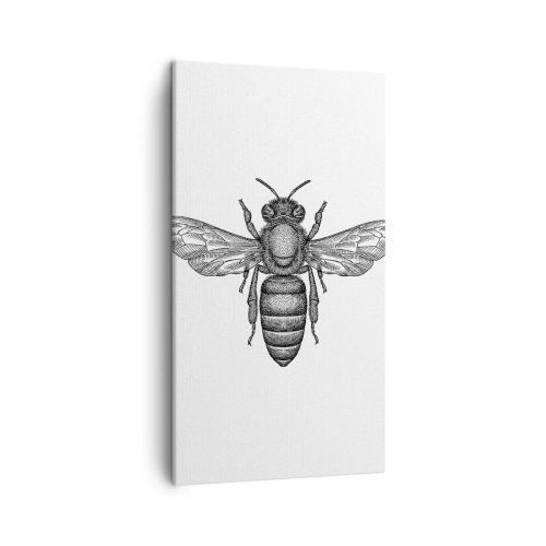 Bild auf Leinwand - Leinwandbild - Insektenporträt - 45x80 cm