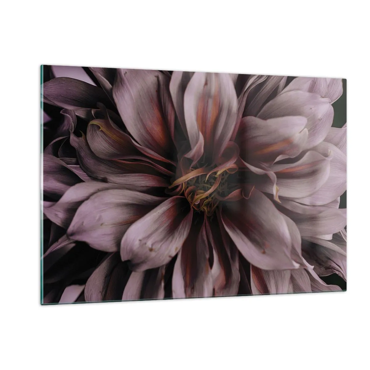 Glasbild - Bild auf glas - Nahaufnahme einer dunklen Blume mit violetten und burgunderfarbenen Blütenblättern - 120x80cm - Ein Blumenherz - Moderne Wanddekoration für Wohnzimmer und Schlafzimmer ARTTOR