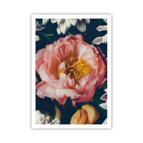 Poster - Mit barocker Pracht - 70x100 cm