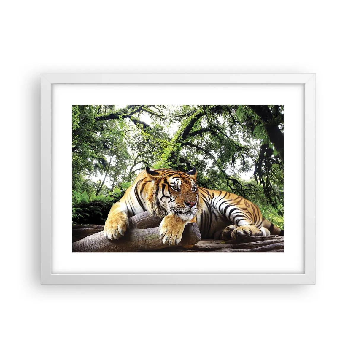 Poster in einem weißen Rahmen - Hochachtungsvoll - 40x30 cm