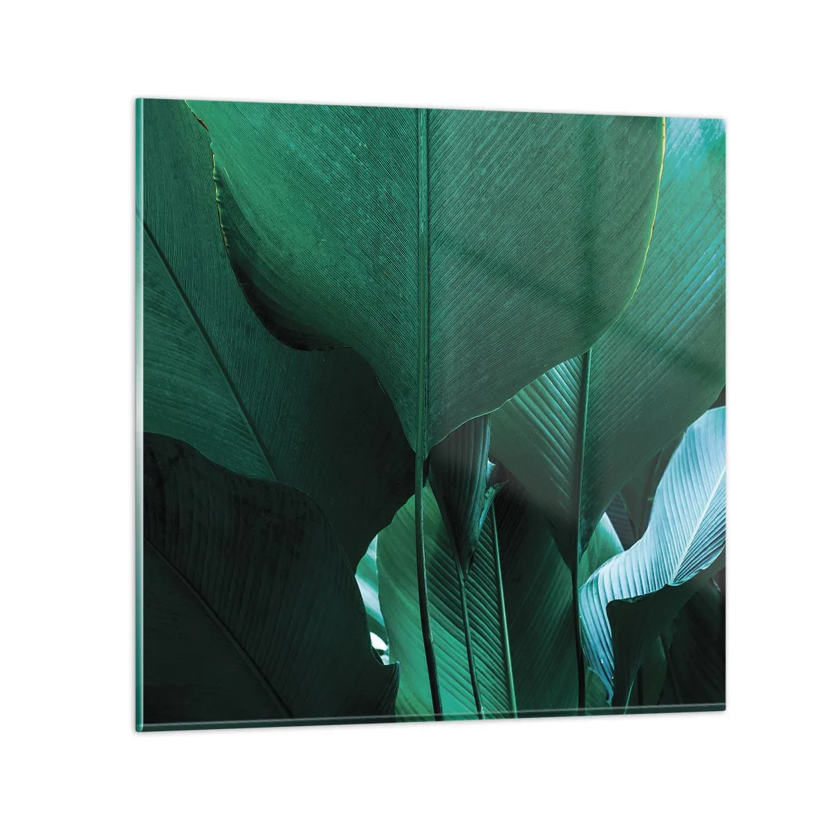 Glasbild - Bild auf glas - Dem Licht zugewandt - 30x30 cm