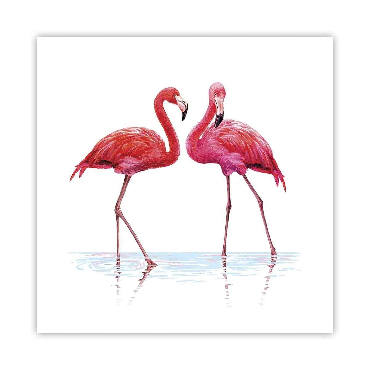 Poster - Rosa randez-vous - 50x50 cm