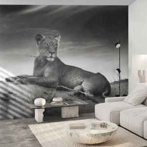 Fototapete Standard Eco - Die Königin der Wüstenruhe - Tiere, Löwe, Wüste - 350x256 cm