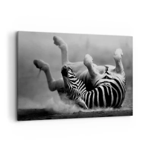 Bild auf Leinwand - Leinwandbild - Ein schwarz-weißes Zebra rollt im Sand - 100x70cm - Nicht nur das Pferd würde lachen - Moderne Wanddekoration für Wohnzimmer und Schlafzimmer ARTTOR