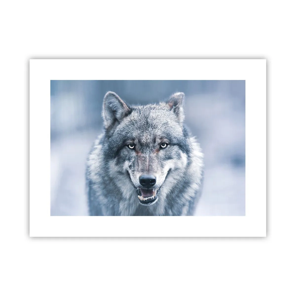 Poster - Werden Sie die Herausforderung annehmen? - 40x30 cm