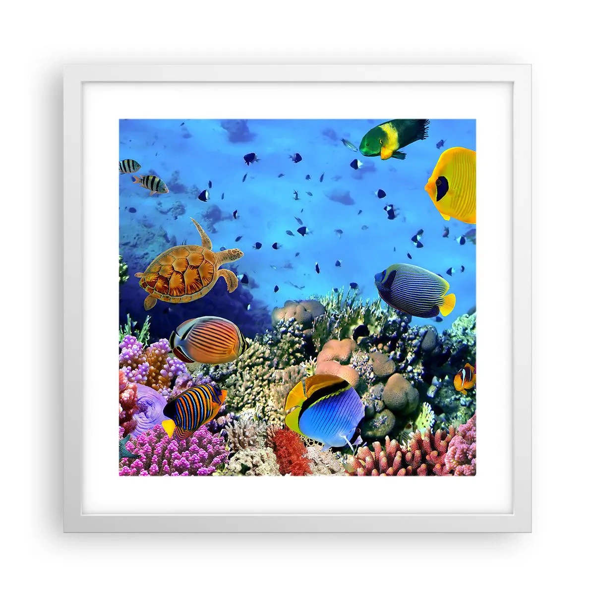 Poster in einem weißen Rahmen - Und was wissen wir über das Leben ... - 40x40 cm