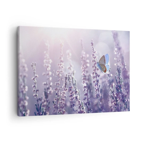 Bild auf Leinwand - Leinwandbild - Ein Schmetterling auf blühendem Lavendel im Morgenlicht - 70x50cm - Schmetterlingskuss - Moderne Wanddekoration für Wohnzimmer und Schlafzimmer ARTTOR
