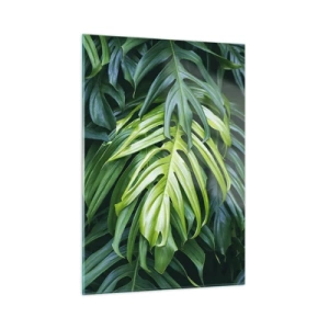 Glasbild - Bild auf glas - Üppig grüne Monstera-Blätter im natürlichen Licht - 50x70cm - Tauchen Sie ein in die Frische - Moderne Wanddekoration für Wohnzimmer und Schlafzimmer ARTTOR