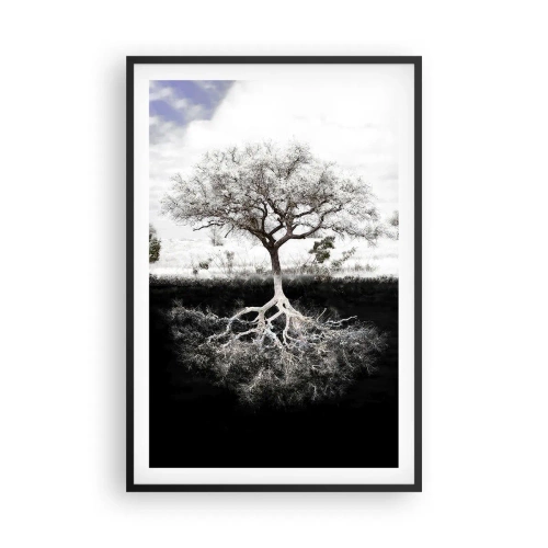 Poster in einem schwarzem Rahmen - Die Natur der Welt entdecken - 61x91 cm