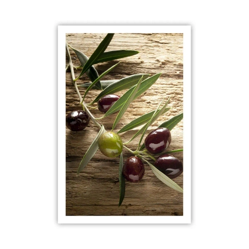 Poster - Direkt aus der Natur - 61x91 cm