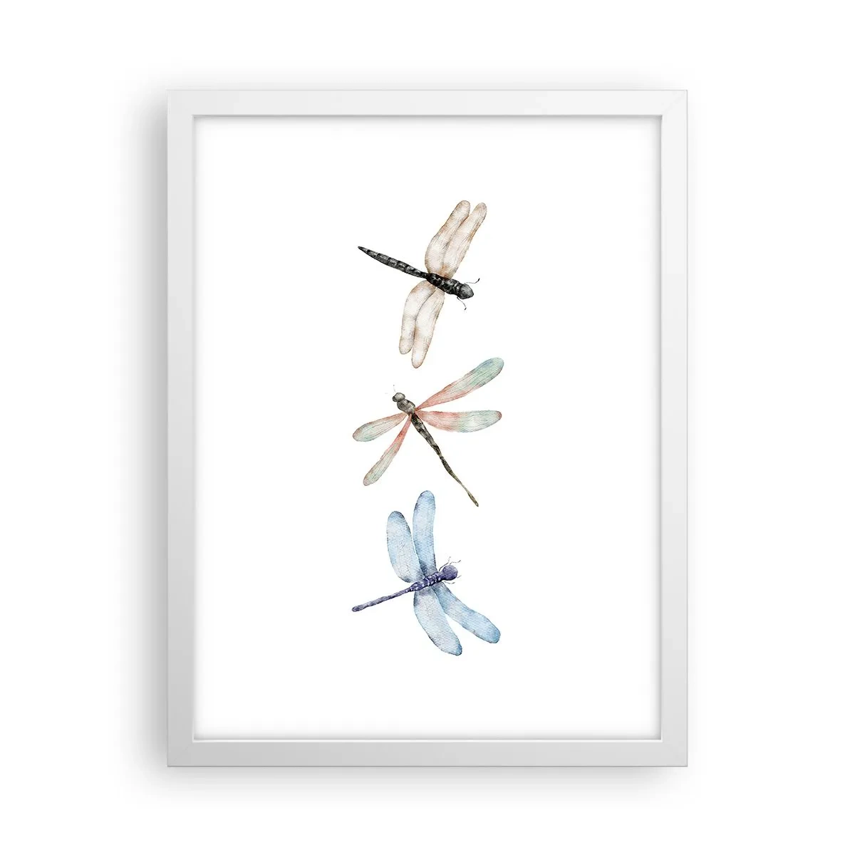Poster in einem weißen Rahmen - Schwerelose Libellen - 30x40 cm