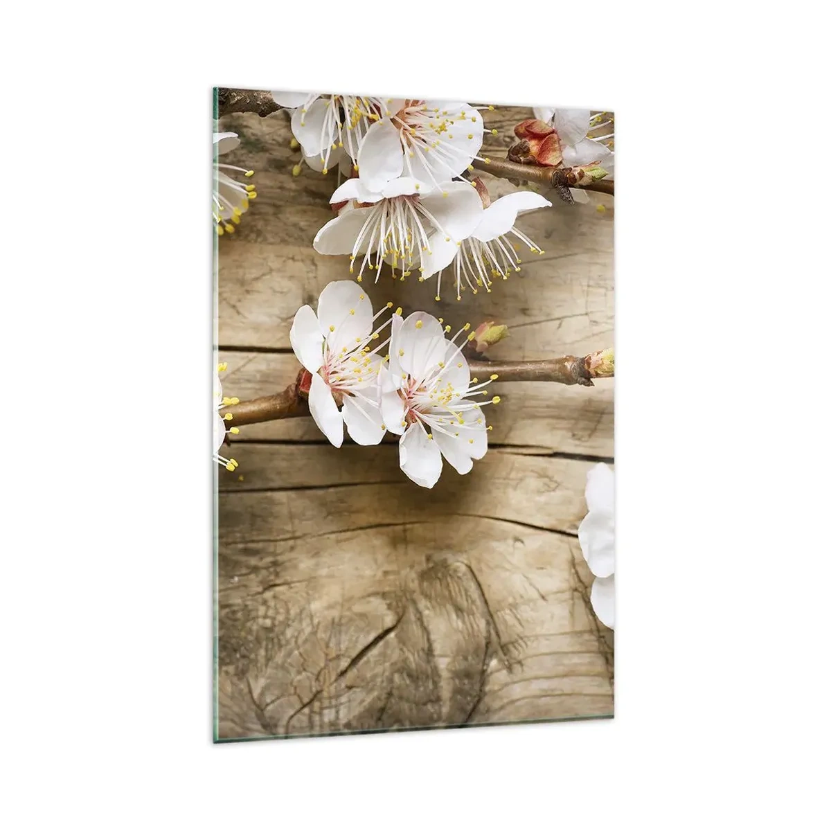 Glasbild - Bild auf glas - Zweige blühender Kirschbäume auf einem Holzbretthintergrund - 80x120cm - Und es war Frühling - Moderne Wanddekoration für Wohnzimmer und Schlafzimmer ARTTOR