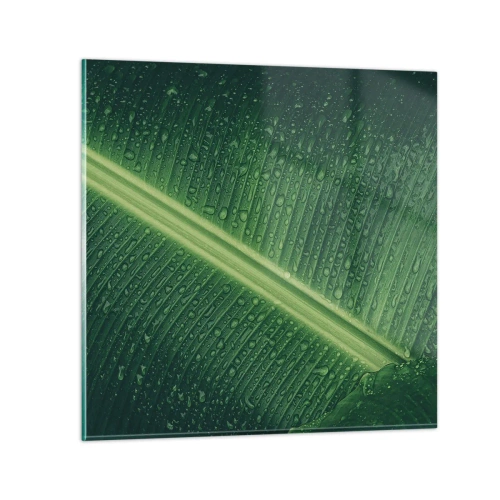 Glasbild - Bild auf glas - Die Struktur des Grüns - 70x70 cm