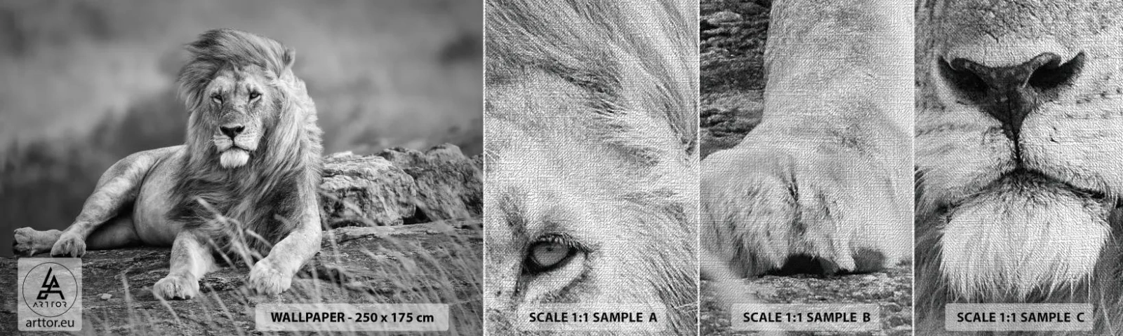 Fototapeten Muster Premium Canvas - Königliche Siesta - Löwe, Tiere, Natur - 100x30 cm