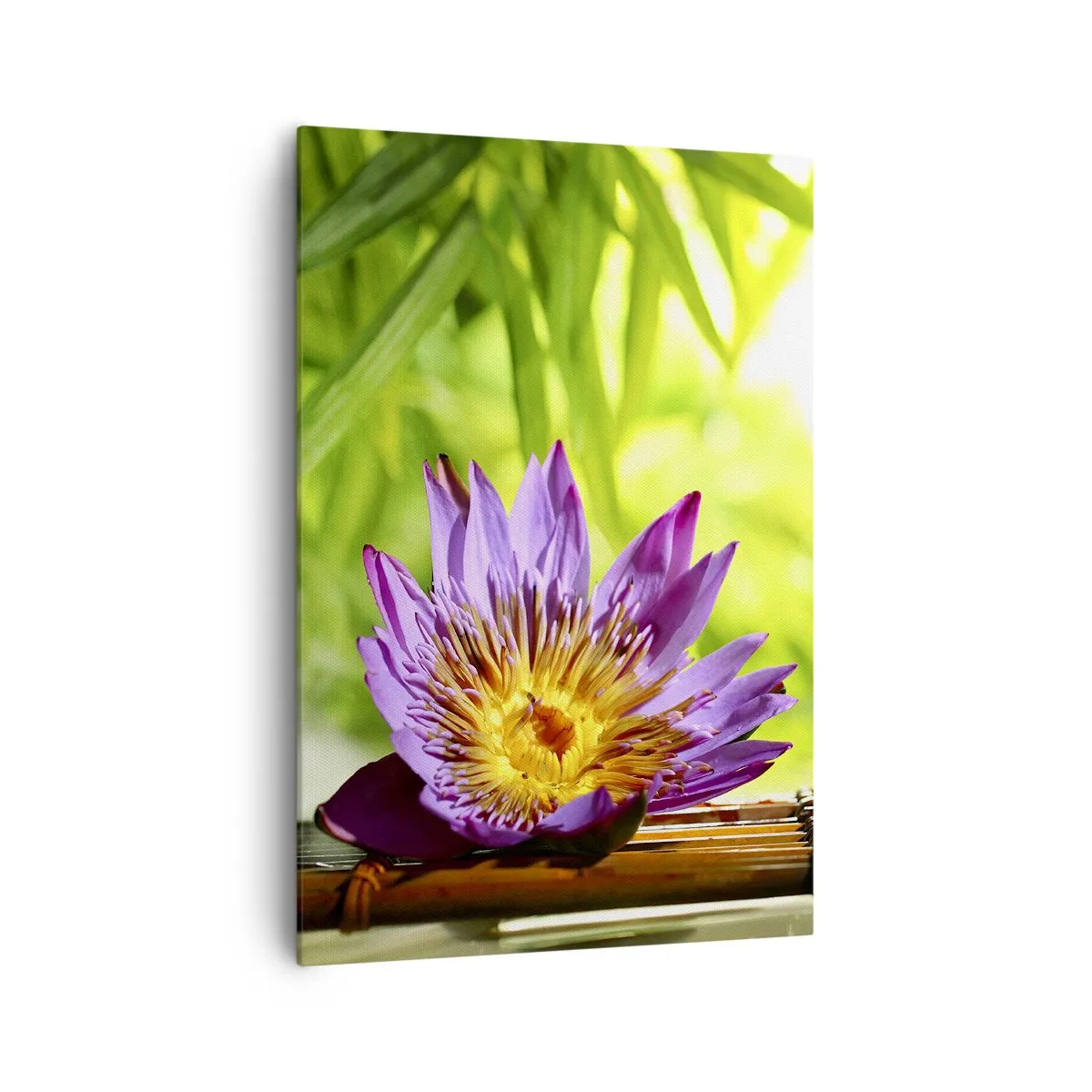 Bild auf Leinwand - Leinwandbild - Lila Lotusblüte vor einem Hintergrund aus grünen Bambusblättern - 70x100cm - In der asiatischen Sonne - Moderne Wanddekoration für Wohnzimmer und Schlafzimmer ARTTOR