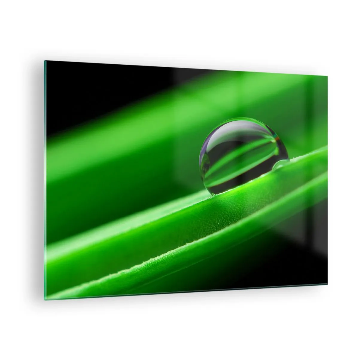 Glasbild - Bild auf glas - Ein Tropfen Tau auf einem grünen Blatt - 70x50cm - Leben hautnah - Moderne Wanddekoration für Wohnzimmer und Schlafzimmer ARTTOR