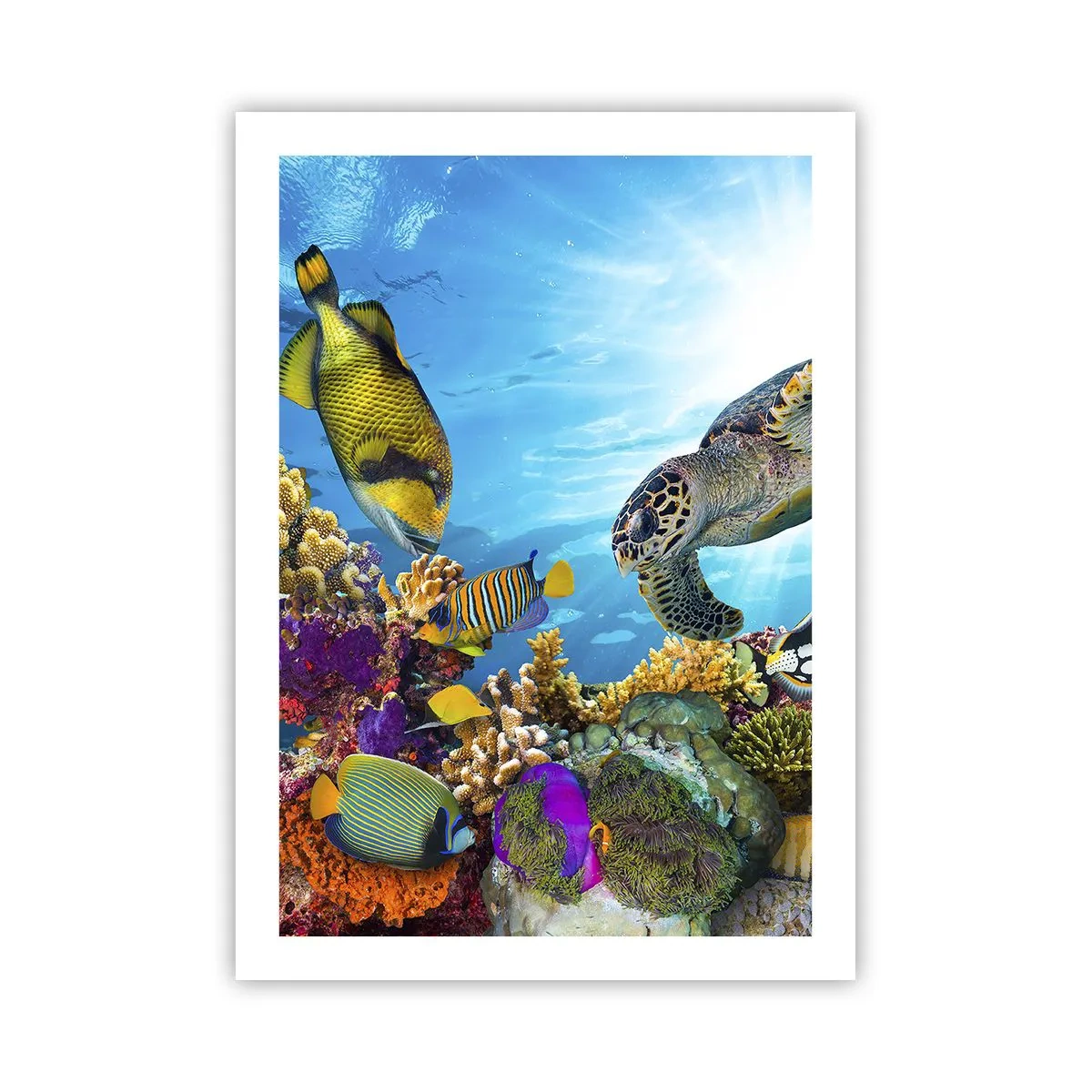 Poster - Buntes Meeresleben mit Fischen und Schildkröten in tropischen Gewässern - 50x70cm - Korallenpromenade - Moderne Wanddekoration für Wohnzimmer und Schlafzimmer ARTTOR