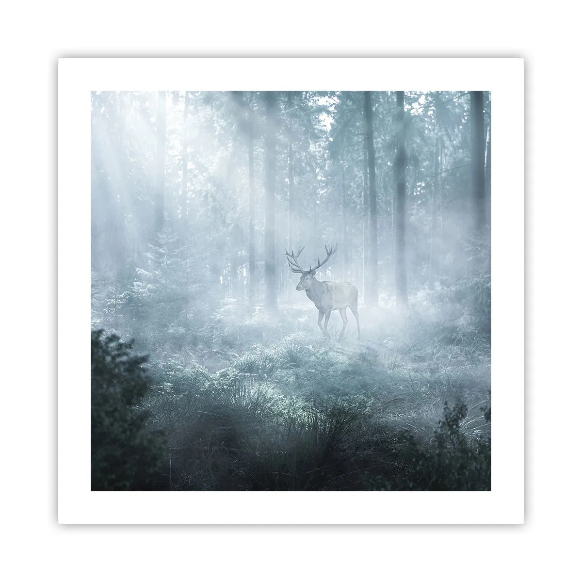 Poster - Morgenvisite auf dem Grundstück - 50x50 cm