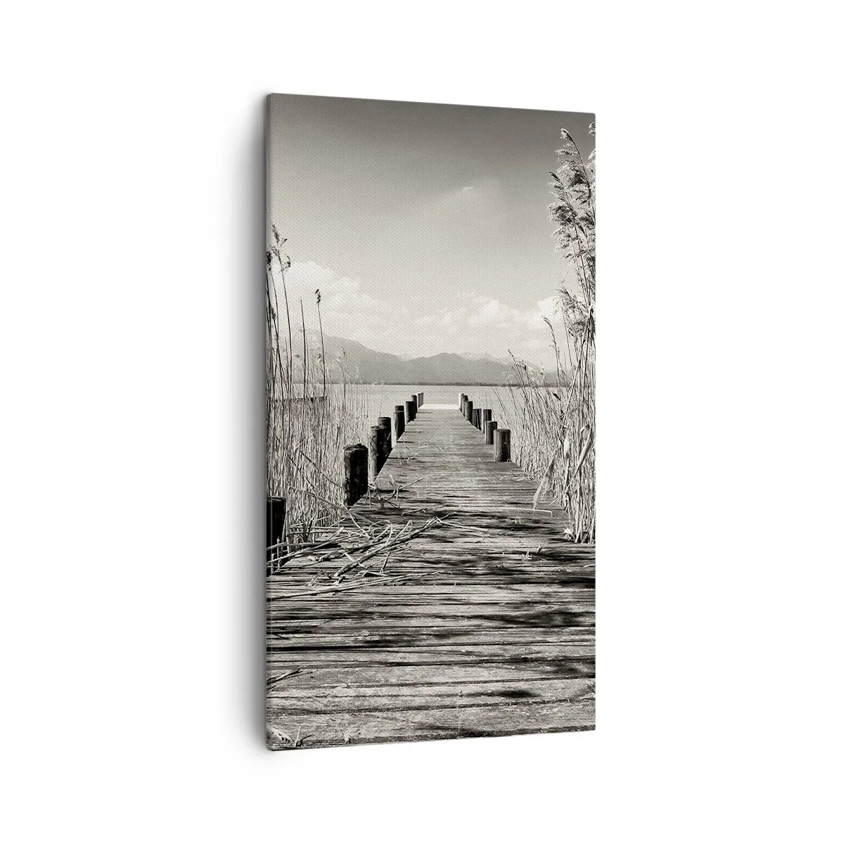 Bild auf Leinwand - Leinwandbild - In der Stille des Grases - 45x80 cm