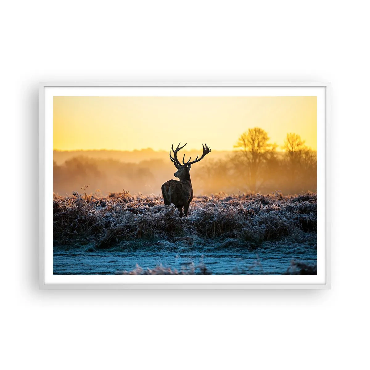 Poster in einem weißen Rahmen - Gekrönt auf seinem Besitz - 100x70 cm