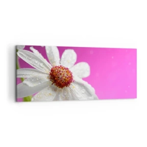 Bild auf Leinwand - Leinwandbild - Bescheiden in seiner Schönheit - 100x40 cm