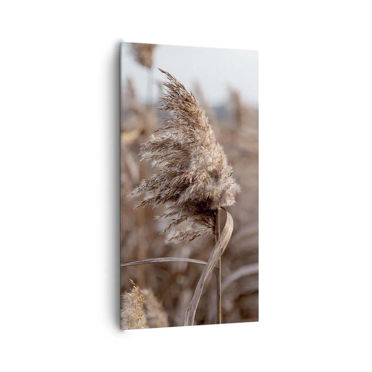 Bild auf Leinwand - Leinwandbild - Zeit, mit dem Wind zu gehen - 65x120 cm