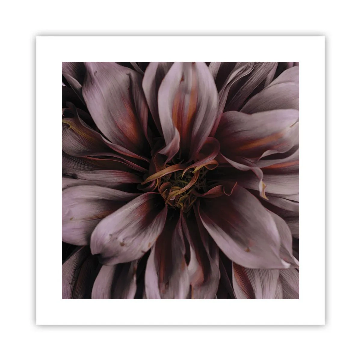 Poster - Ein Blumenherz - 40x40 cm