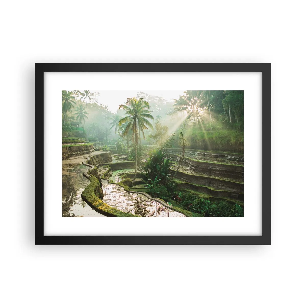 Poster in einem schwarzem Rahmen - In der Sonne aufwachsen - 40x30 cm