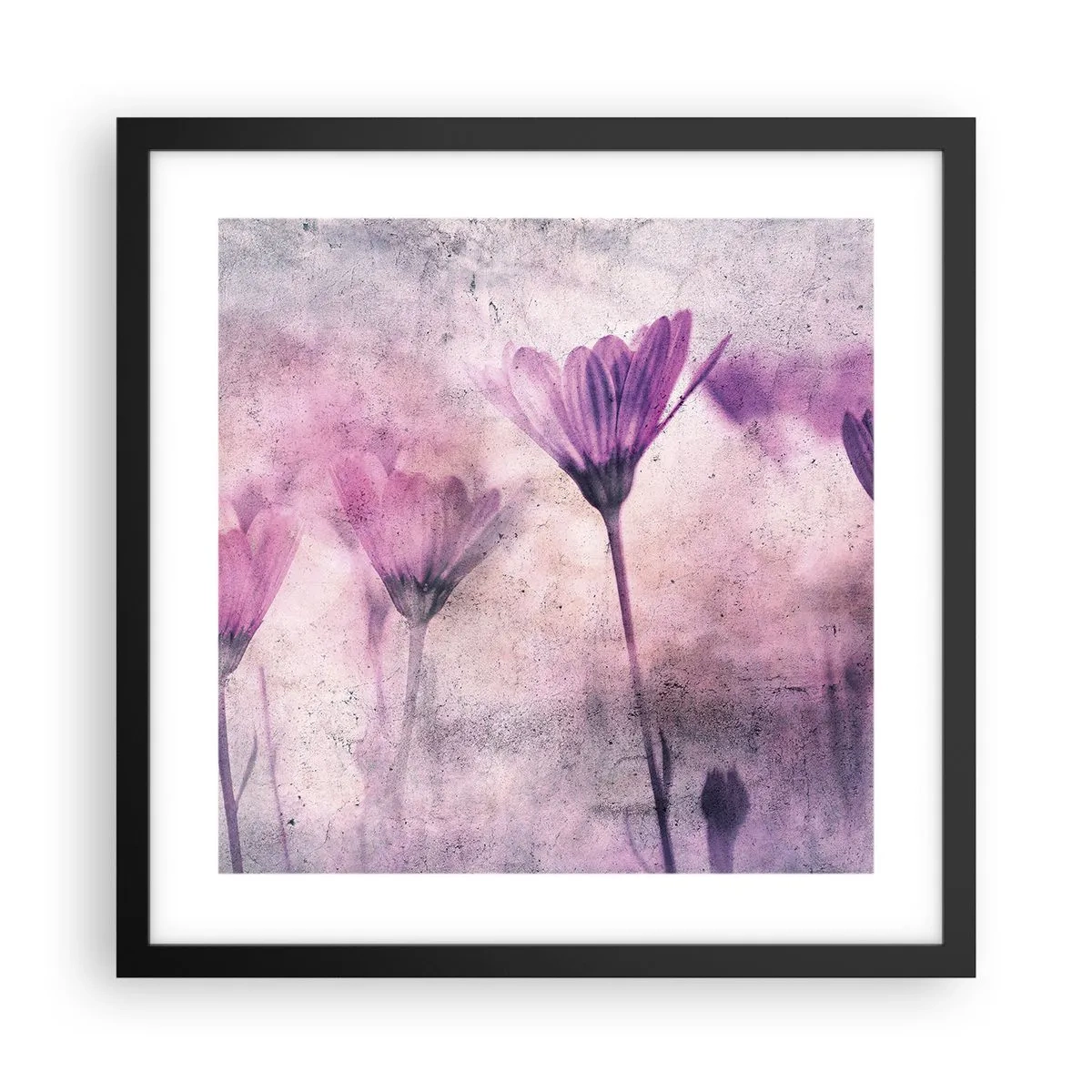 Poster in einem schwarzem Rahmen - Ein Blumentraum - 40x40 cm