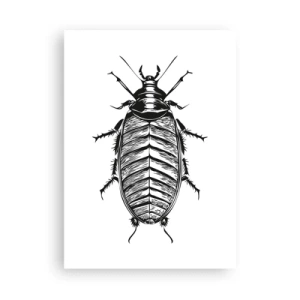 Poster - Schwarz-Weiß-Illustration eines Insekts im Einzelhandelsstil - 50x70cm - Was für ein Exemplar! - Moderne Wanddekoration für Wohnzimmer und Schlafzimmer ARTTOR