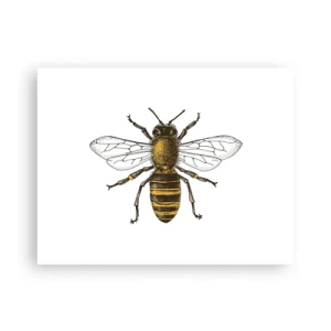 Poster - Schön und gut - 40x30 cm