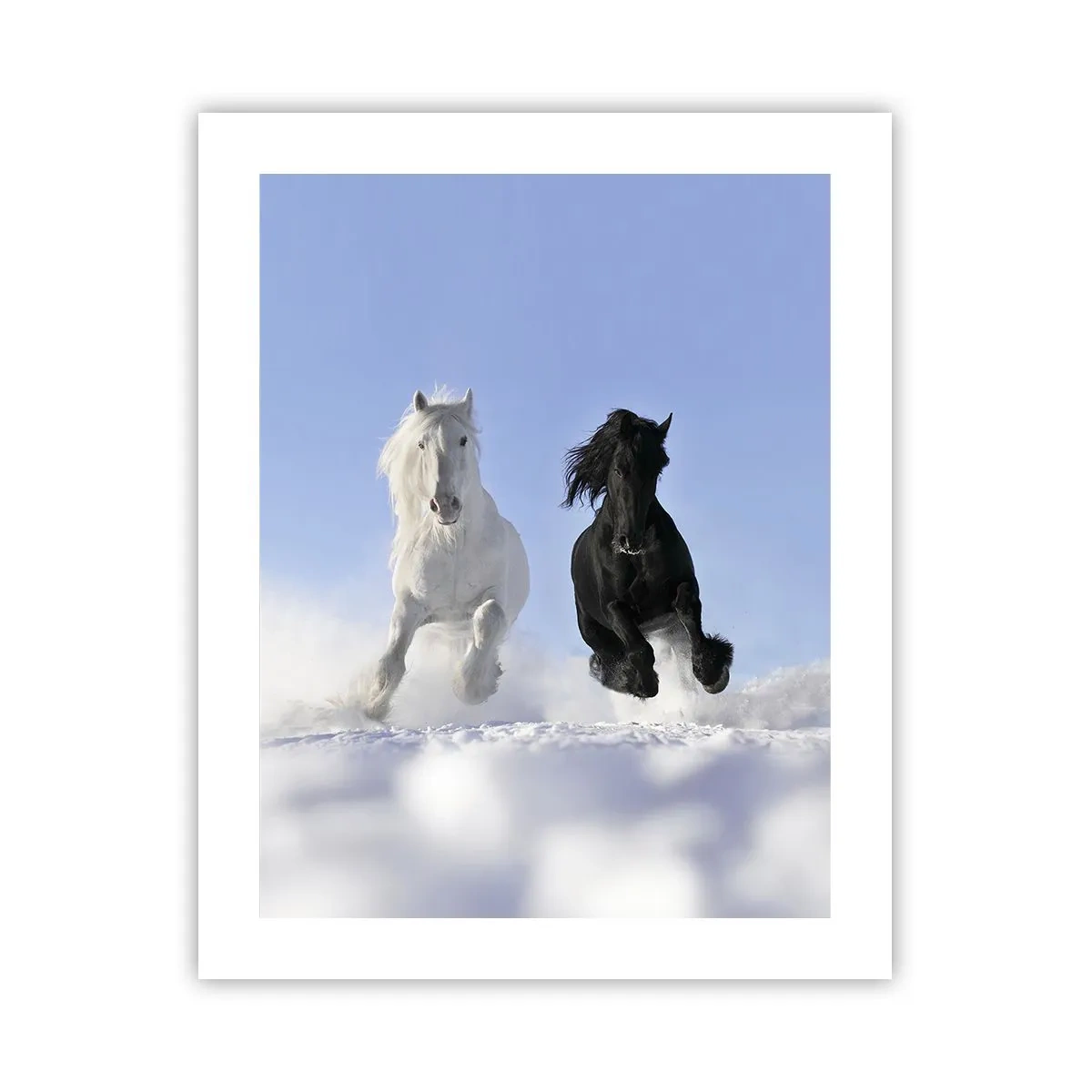 Poster - Schwarz-Weiß-Galopp - 40x50 cm
