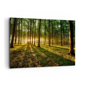 Bild auf Leinwand - Leinwandbild - Die untergehende Sonne im Laubwald - 120x80cm - Alle Frühlingsfotografie - Moderne Wanddekoration für Wohnzimmer und Schlafzimmer ARTTOR