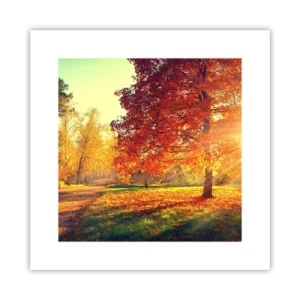 Poster - Unhöflich ist schön - 30x30 cm