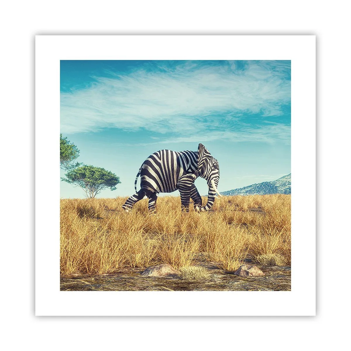 Poster - Grau ist nicht mehr in Mode - 40x40 cm