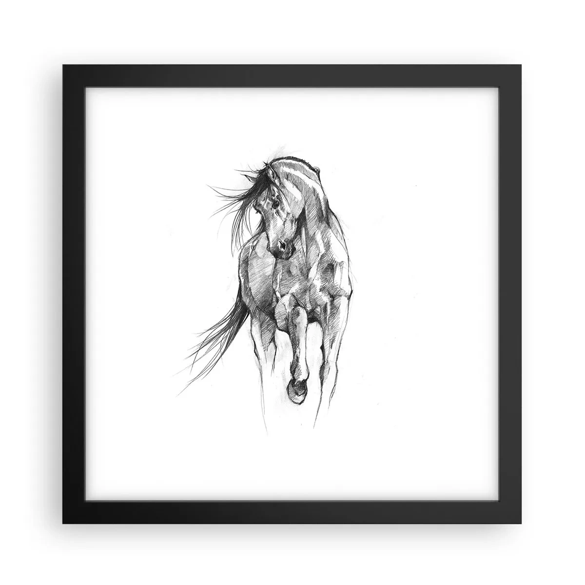 Poster in einem schwarzem Rahmen - Im anmutigen Trab - 30x30 cm