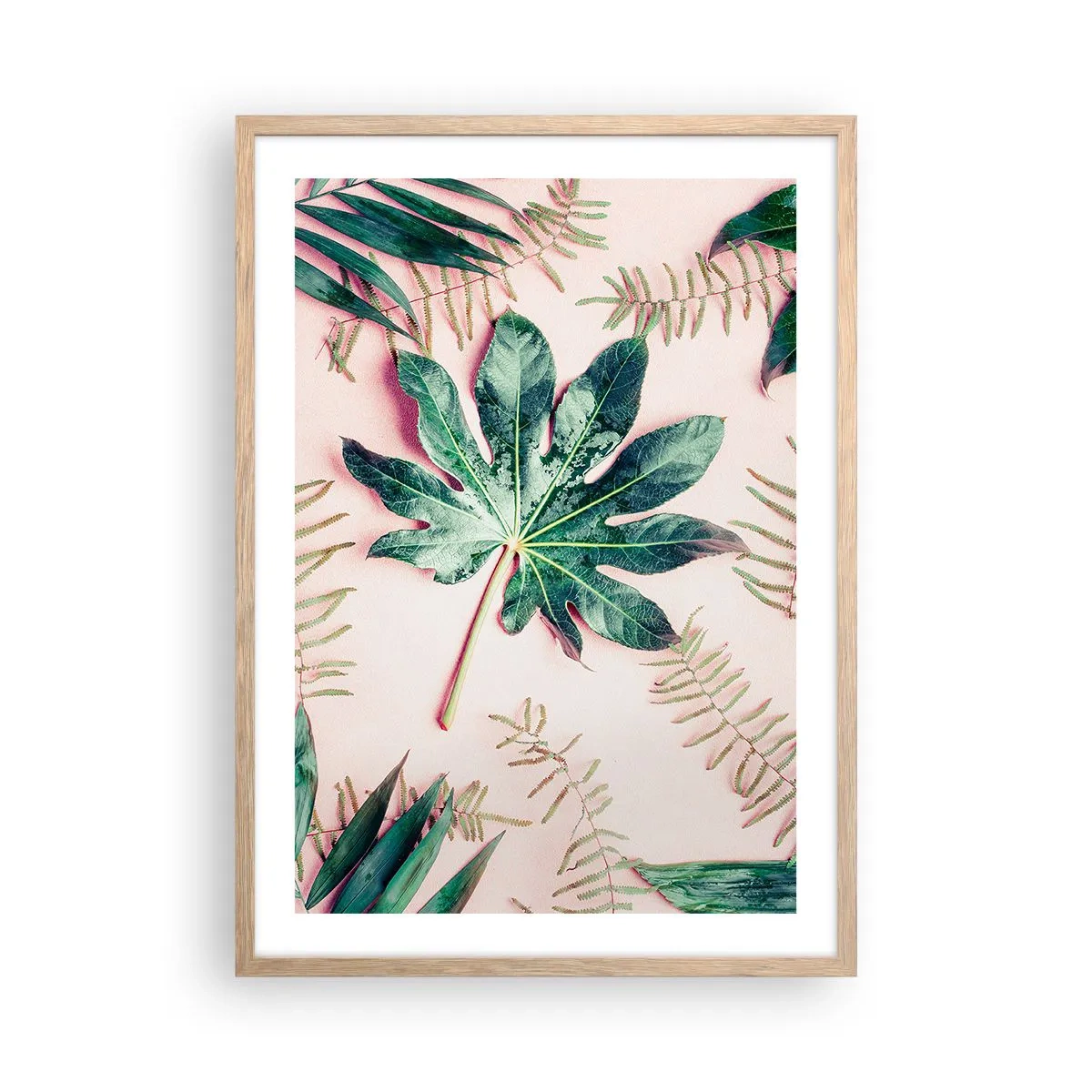 Poster in einem Rahmen aus heller Eiche - Eine Studie von Grün auf einem rosa Hintergrund - 50x70 cm