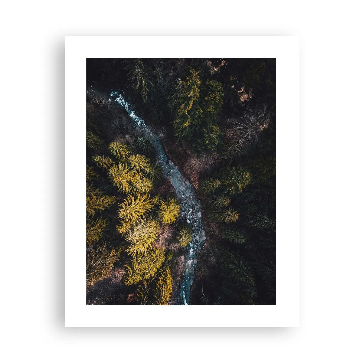 Poster - Schnell und immer schneller - 40x50 cm