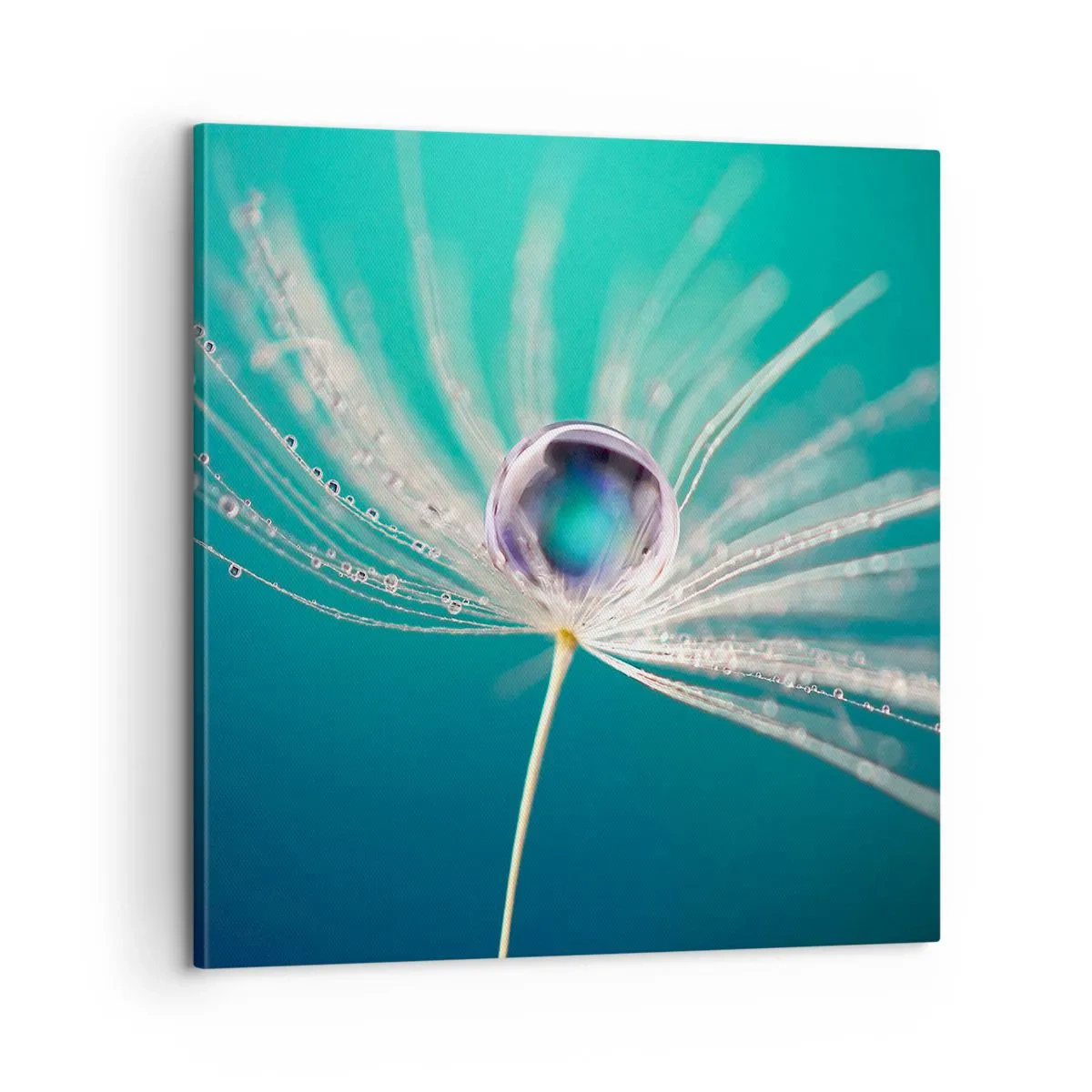 Bild auf Leinwand - Leinwandbild - Mystischer Moment - 60x60 cm