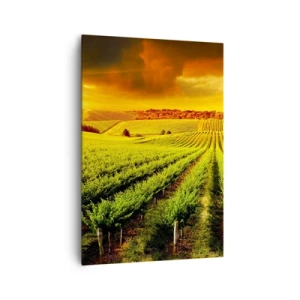 Bild auf Leinwand - Leinwandbild - Goldene Weinberge, beleuchtet von den Sonnenstrahlen - 70x100cm - Unter der australischen Sonne - Moderne Wanddekoration für Wohnzimmer und Schlafzimmer ARTTOR