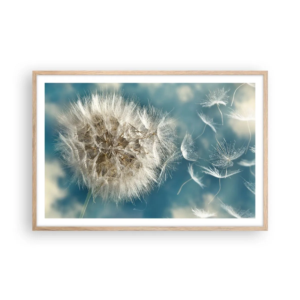 Poster in einem Rahmen aus heller Eiche - Engelsatem - 91x61 cm