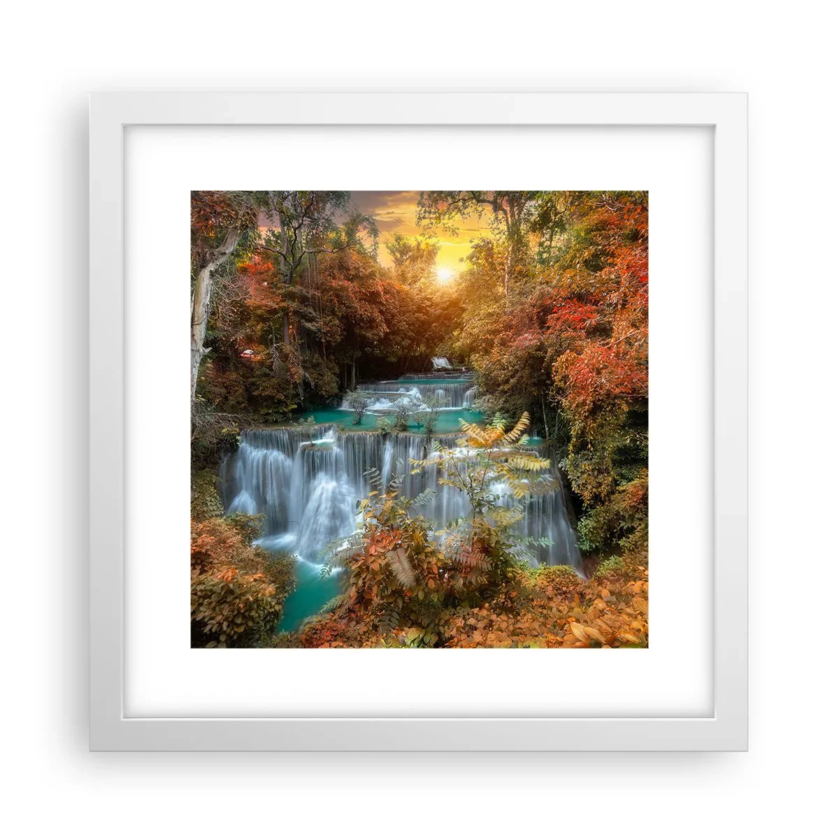 Poster in einem weißen Rahmen - Versteckter Schatz des Waldes - 30x30 cm