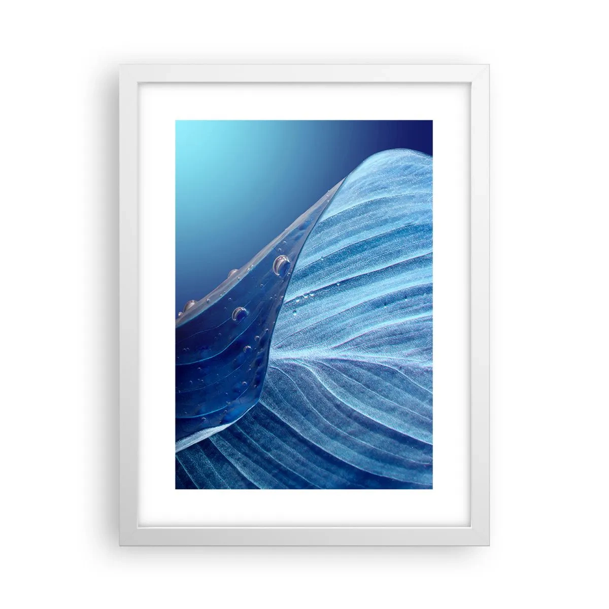 Poster in einem weißen Rahmen - Versteckte Tropfen vom Blau - 30x40 cm