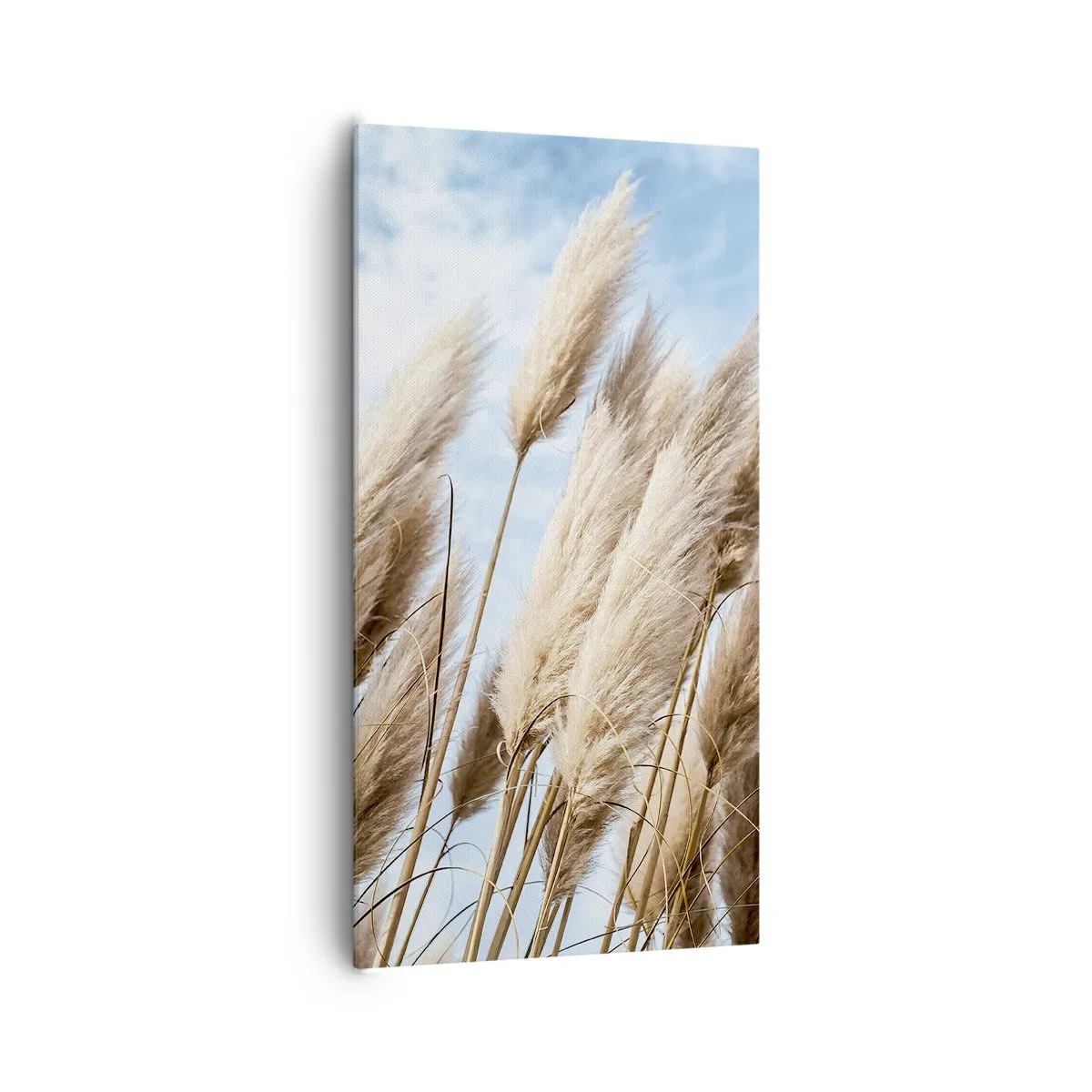 Bild auf Leinwand - Leinwandbild - Sonnige und windige Liebkosungen - 65x120 cm