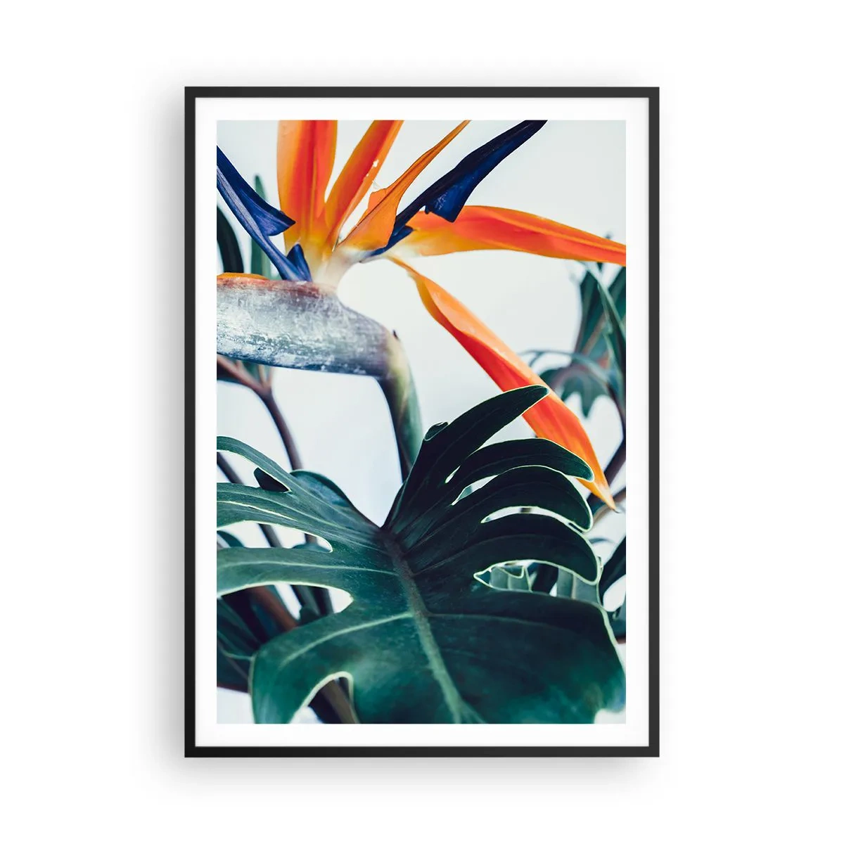 Poster in einem schwarzem Rahmen - Vogelbusch - 70x100 cm