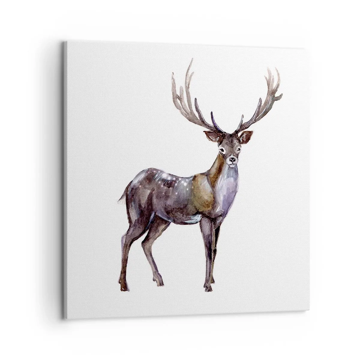 Bild auf Leinwand - Leinwandbild - König des nördlichen Waldes - 50x50 cm