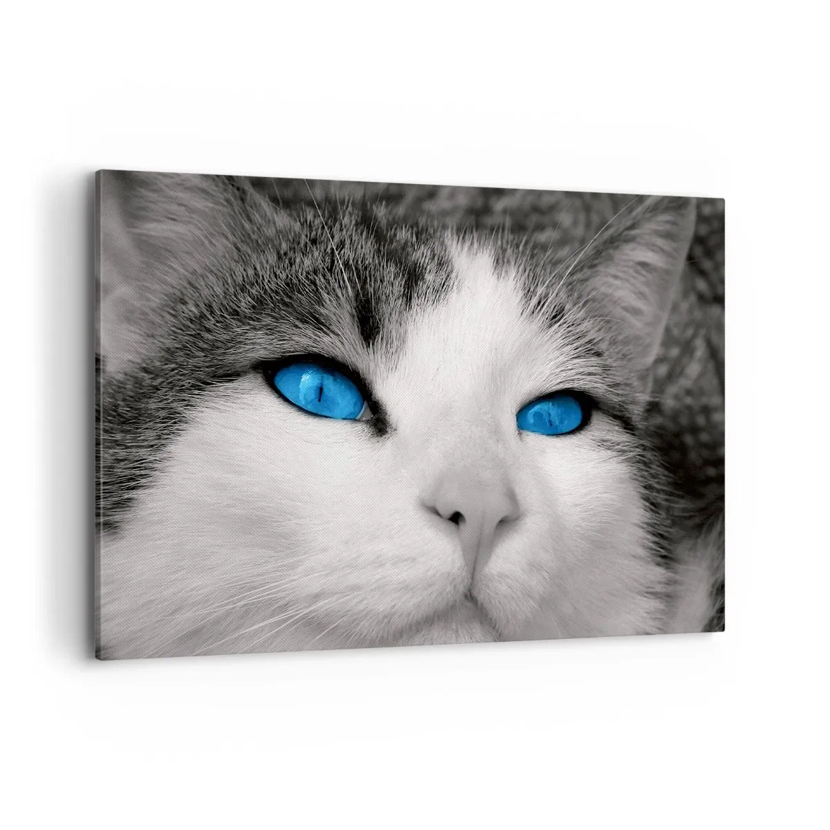 Bild auf Leinwand - Leinwandbild - Porträt einer Katze mit blauen Augen im Schwarz-Weiß-Stil - 100x70cm - Ungewöhnlich blauäugig - Moderne Wanddekoration für Wohnzimmer und Schlafzimmer ARTTOR