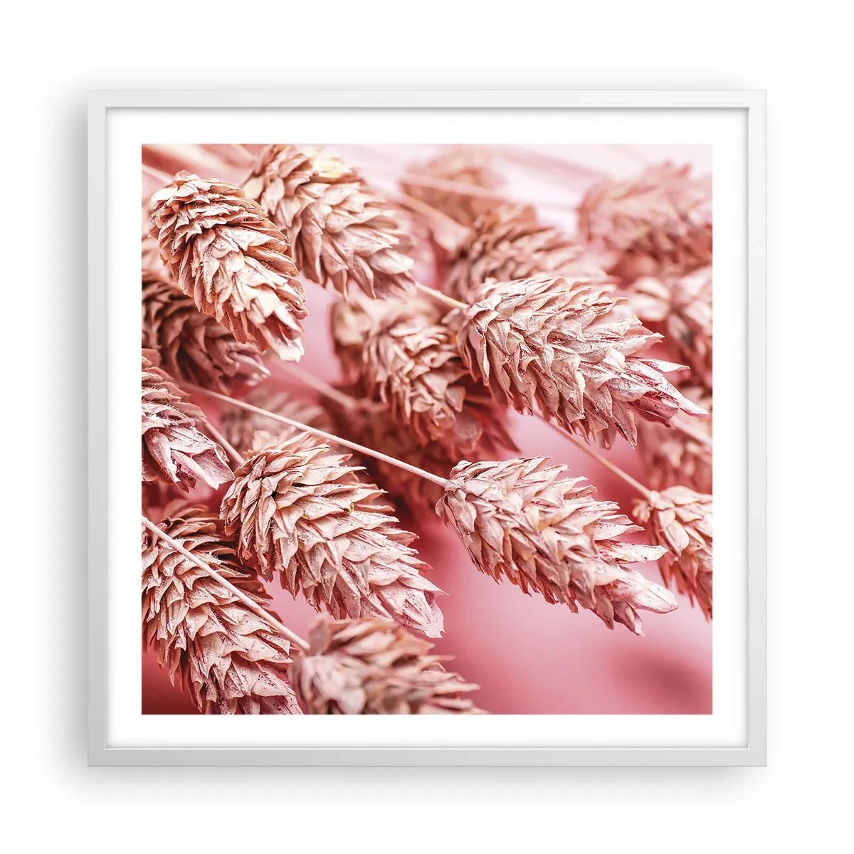 Poster in einem weißen Rahmen - Eine Blumenkaskade in Rosa - 60x60 cm