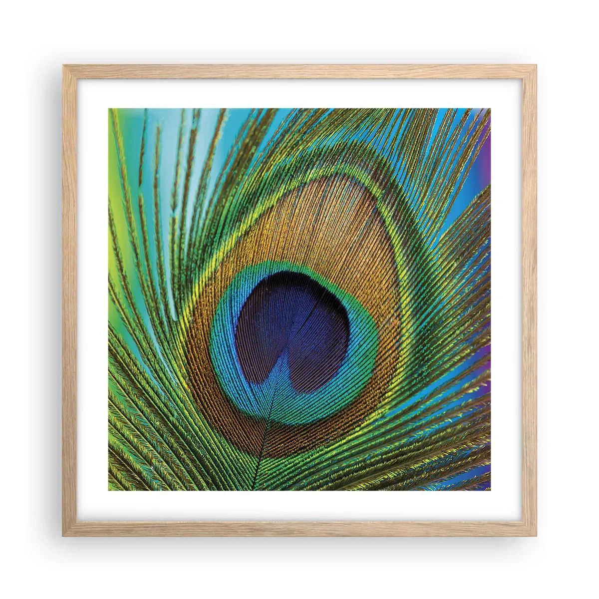 Poster in einem Rahmen aus heller Eiche - Auge in Auge - 50x50 cm